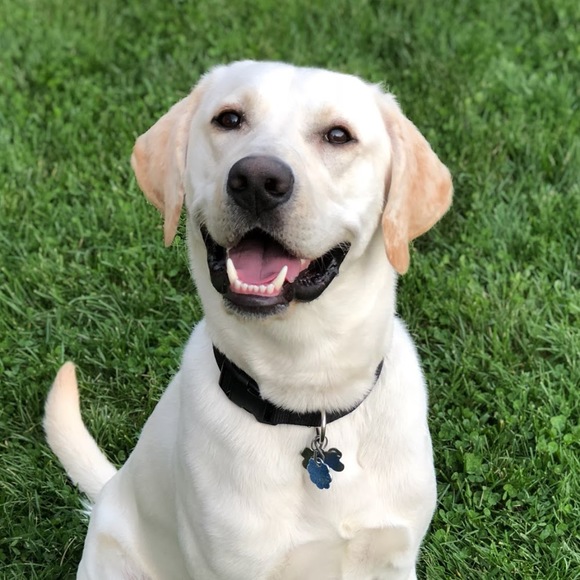 Meet your Posher, Megan - Picture 1 of 1